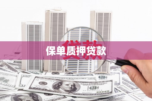 阳山保单质押贷款