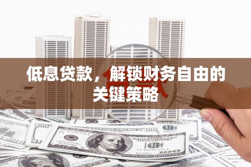 阳山低息贷款，解锁财务自由的关键策略
