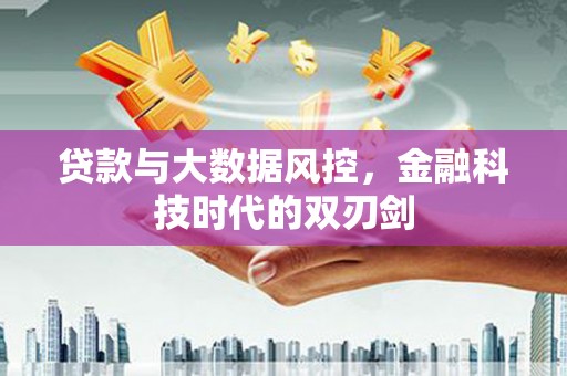 阳山贷款与大数据风控，金融科技时代的双刃剑
