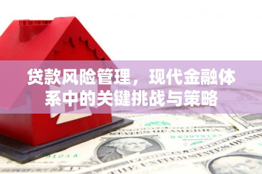 阳山贷款风险管理，现代金融体系中的关键挑战与策略
