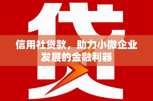 阳山信用社贷款，助力小微企业发展的金融利器