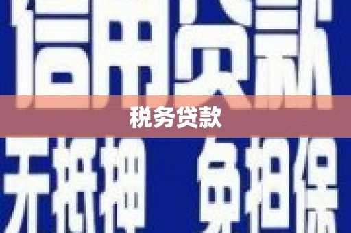 阳山税务贷款