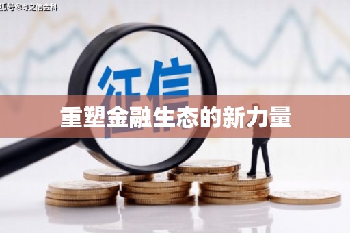 阳山重塑金融生态的新力量