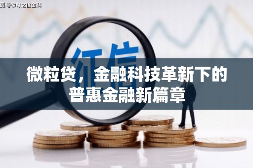 阳山微粒贷，金融科技革新下的普惠金融新篇章