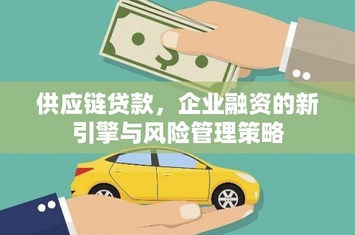 阳山供应链贷款，企业融资的新引擎与风险管理策略