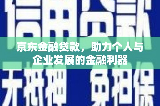 阳山京东金融贷款，助力个人与企业发展的金融利器