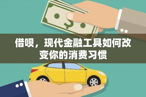 阳山借呗，现代金融工具如何改变你的消费习惯