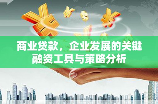 阳山商业贷款，企业发展的关键融资工具与策略分析