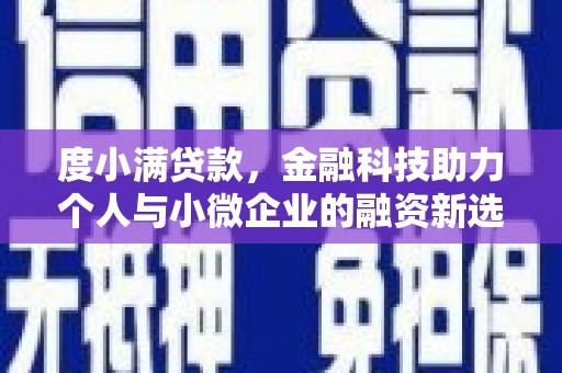 阳山度小满贷款，金融科技助力个人与小微企业的融资新选择