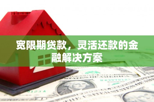 阳山宽限期贷款，灵活还款的金融解决方案