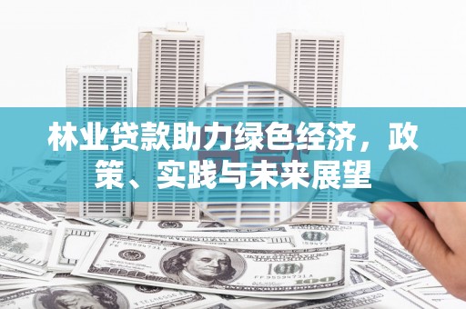 阳山林业贷款助力绿色经济，政策、实践与未来展望