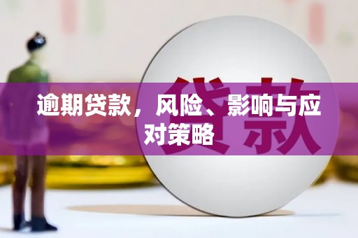 阳山逾期贷款，风险、影响与应对策略