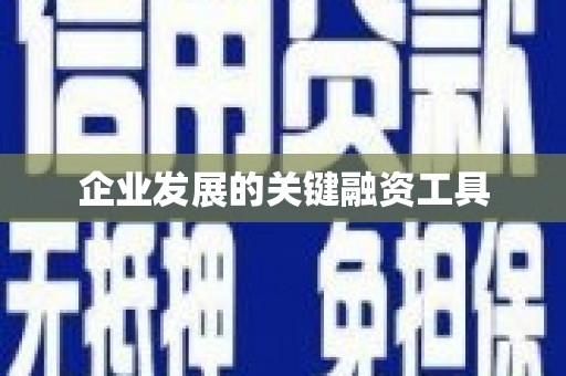 阳山企业发展的关键融资工具