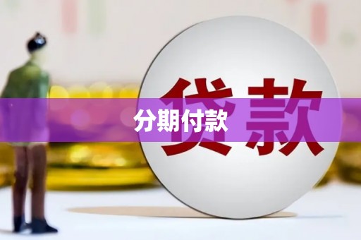 阳山分期付款