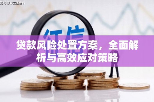 阳山贷款风险处置方案，全面解析与高效应对策略