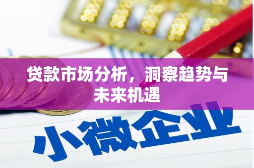 阳山贷款市场分析，洞察趋势与未来机遇