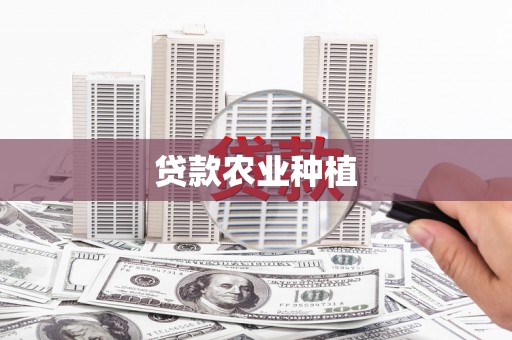 阳山贷款农业种植