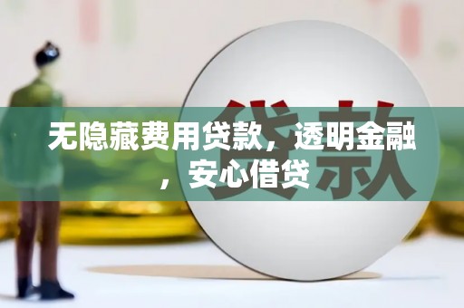 阳山无隐藏费用贷款，透明金融，安心借贷