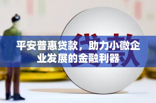 阳山平安普惠贷款，助力小微企业发展的金融利器