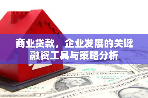 阳山商业贷款，企业发展的关键融资工具与策略分析