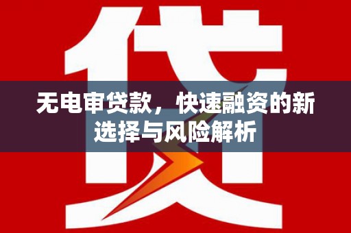 阳山无电审贷款，快速融资的新选择与风险解析