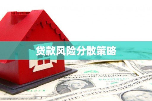 阳山贷款风险分散策略