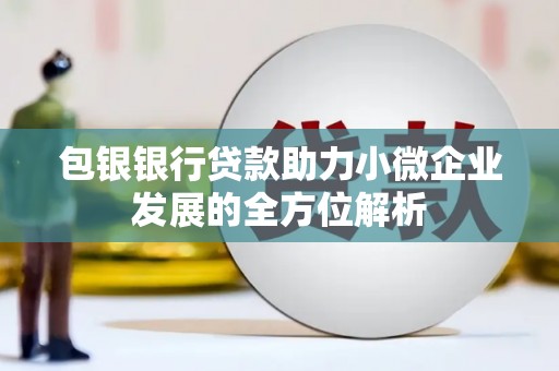 阳山包银银行贷款助力小微企业发展的全方位解析