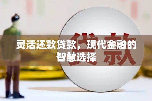 阳山灵活还款贷款，现代金融的智慧选择