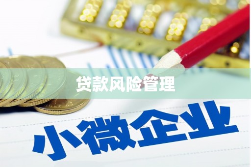 阳山贷款风险管理