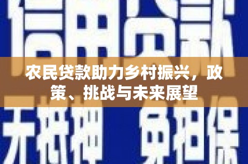 阳山农民贷款助力乡村振兴，政策、挑战与未来展望