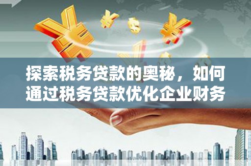 阳山探索税务贷款的奥秘，如何通过税务贷款优化企业财务