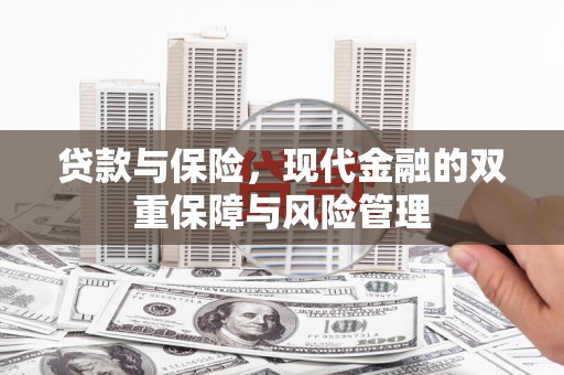 阳山贷款与保险，现代金融的双重保障与风险管理