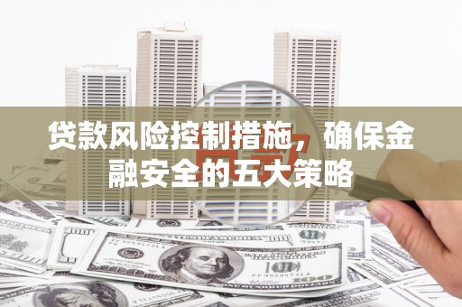 阳山贷款风险控制措施，确保金融安全的五大策略