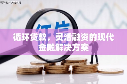 阳山循环贷款，灵活融资的现代金融解决方案
