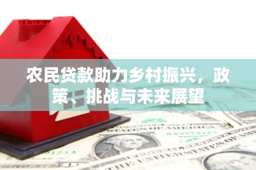 阳山农民贷款助力乡村振兴，政策、挑战与未来展望