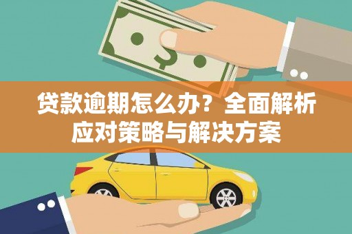 阳山贷款逾期怎么办？全面解析应对策略与解决方案