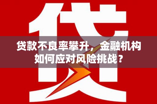 阳山贷款不良率攀升，金融机构如何应对风险挑战？