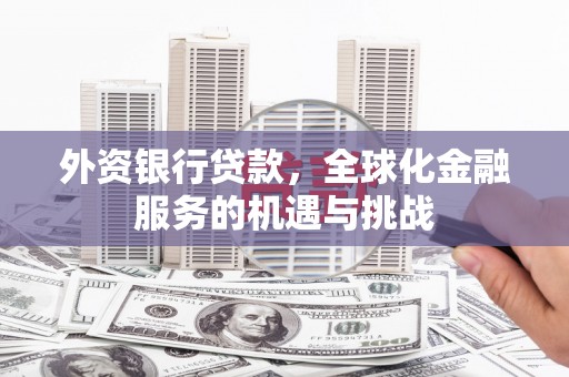 阳山外资银行贷款，全球化金融服务的机遇与挑战