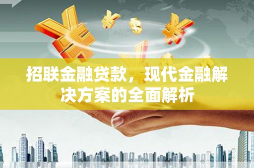 阳山招联金融贷款，现代金融解决方案的全面解析