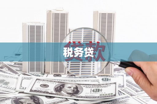 阳山税务贷