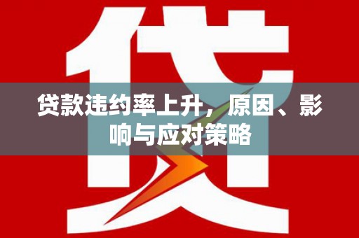 阳山贷款违约率上升，原因、影响与应对策略