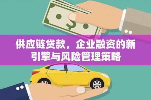 阳山供应链贷款，企业融资的新引擎与风险管理策略