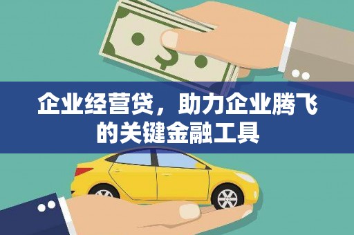 阳山企业经营贷，助力企业腾飞的关键金融工具