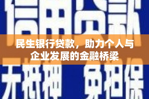 阳山民生银行贷款，助力个人与企业发展的金融桥梁