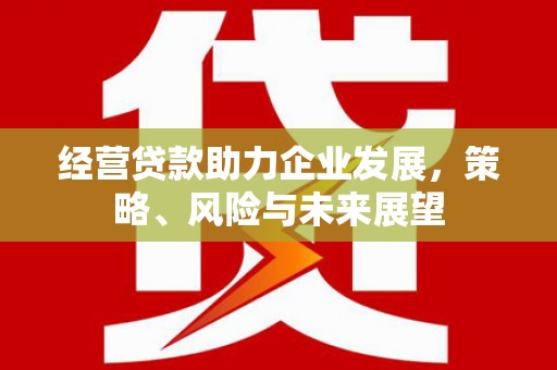 阳山经营贷款助力企业发展，策略、风险与未来展望