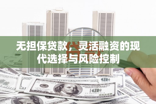 阳山无担保贷款，灵活融资的现代选择与风险控制