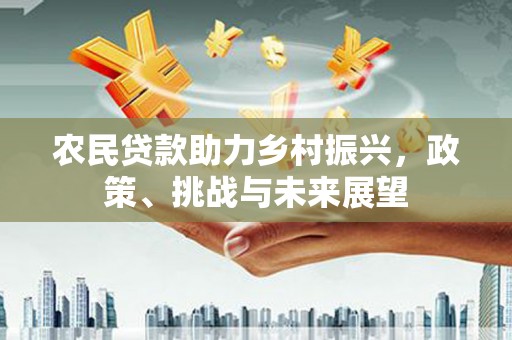 阳山农民贷款助力乡村振兴，政策、挑战与未来展望