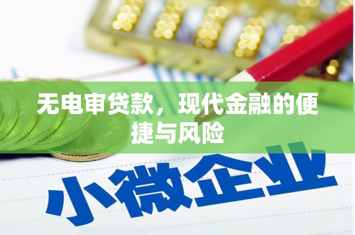 阳山无电审贷款，现代金融的便捷与风险