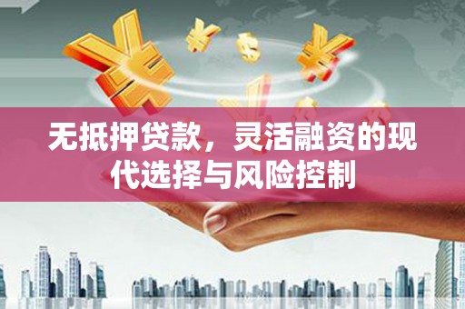 阳山无抵押贷款，灵活融资的现代选择与风险控制