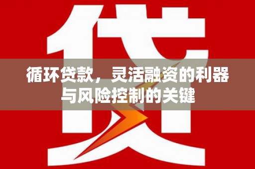 阳山循环贷款，灵活融资的利器与风险控制的关键